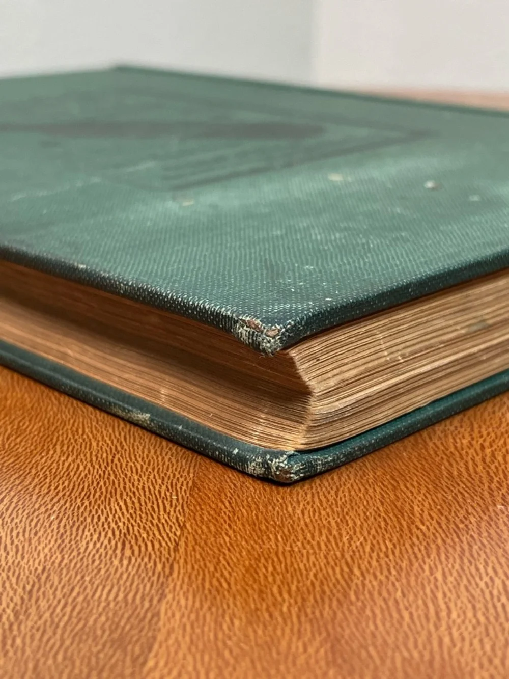 The New Lucile Cook Book 1906 Green Antique Acker Merrall Condit Co.
